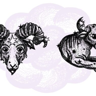 Baran i Byk - kompatybilność w horoskopie partnerskim