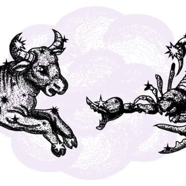 Byk i Skorpion - kompatybilność w horoskopie partnerskim