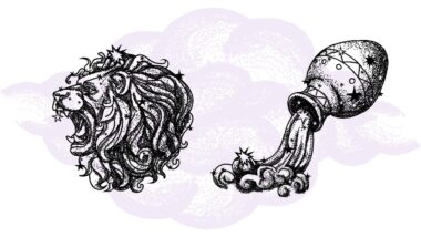 Lew i Wodnik - kompatybilność w horoskopie partnerskim